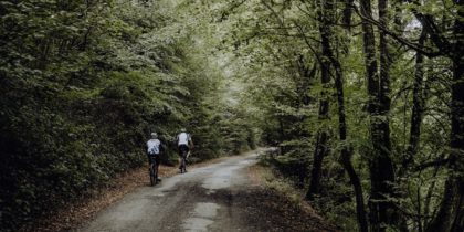 Tussen de kalmte van het landschap en de schoonheid van de hagen