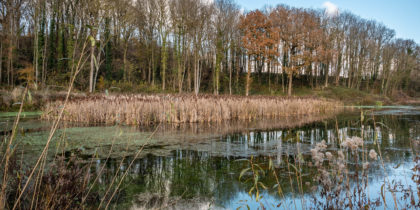 Pétria mound