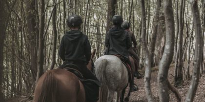 Passing through the Bois de Bruyère forest